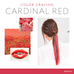 COLOR CRAVING CARDINAL RED - 150ml